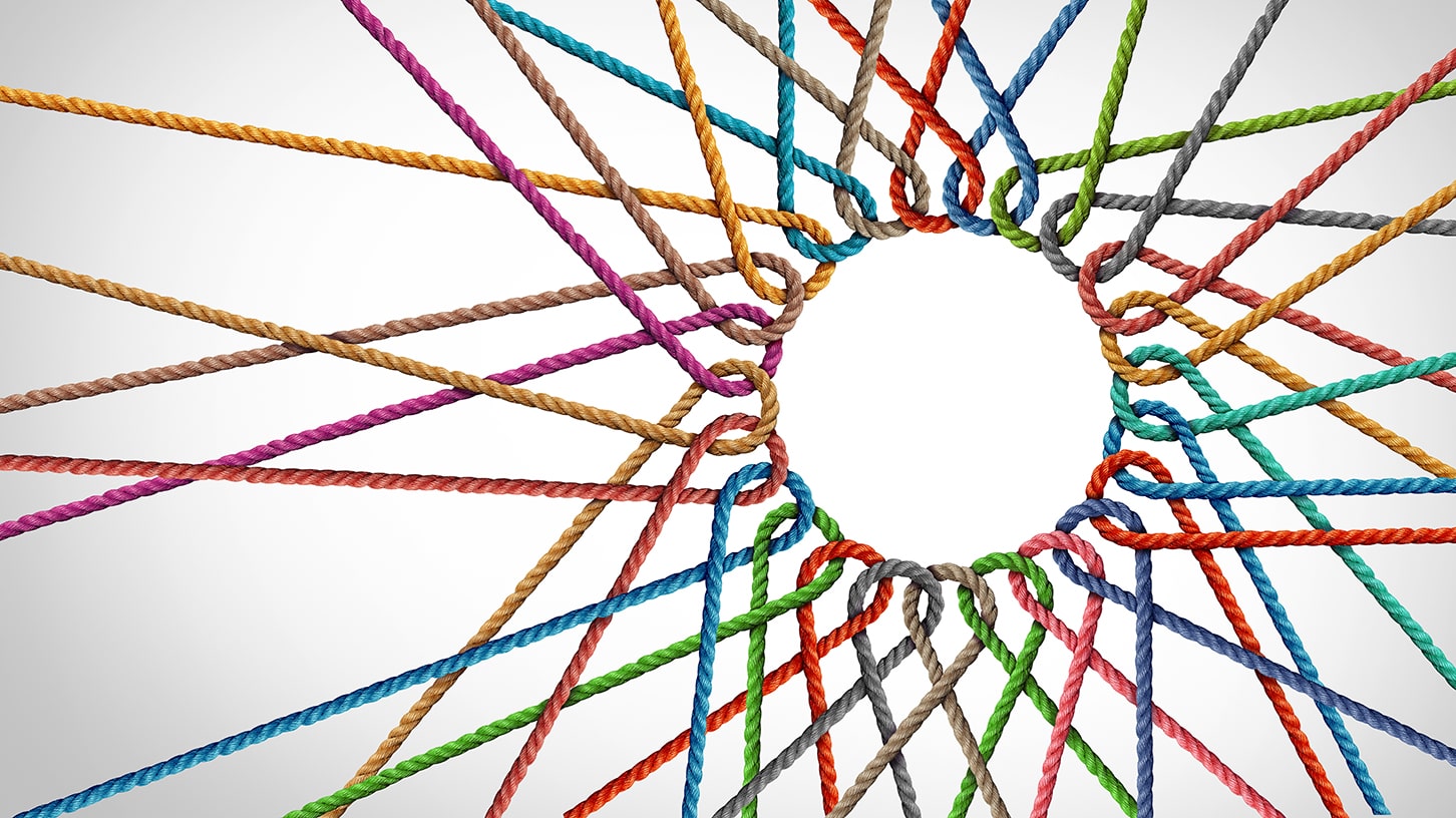 Conoce a la segunda cohorte de Acumen Fellows en España