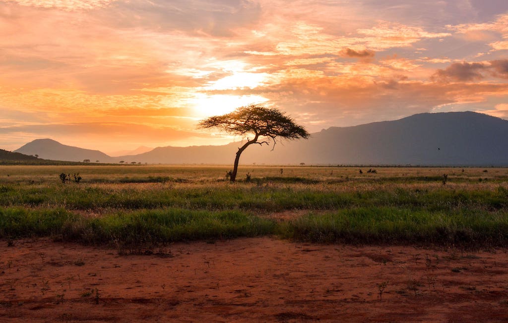 Por qué África