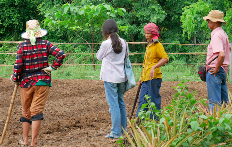 HUSK: las NETs, Negative Emission Technology, aplicadas al impacto social