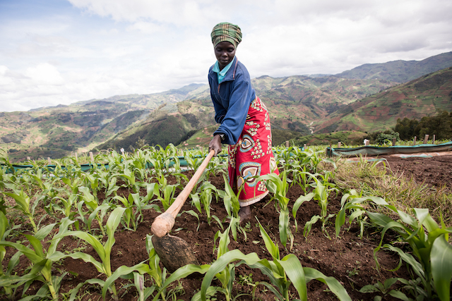 La inversión de impacto como catalizador de los ODS: el caso de la agricultura en Ruanda