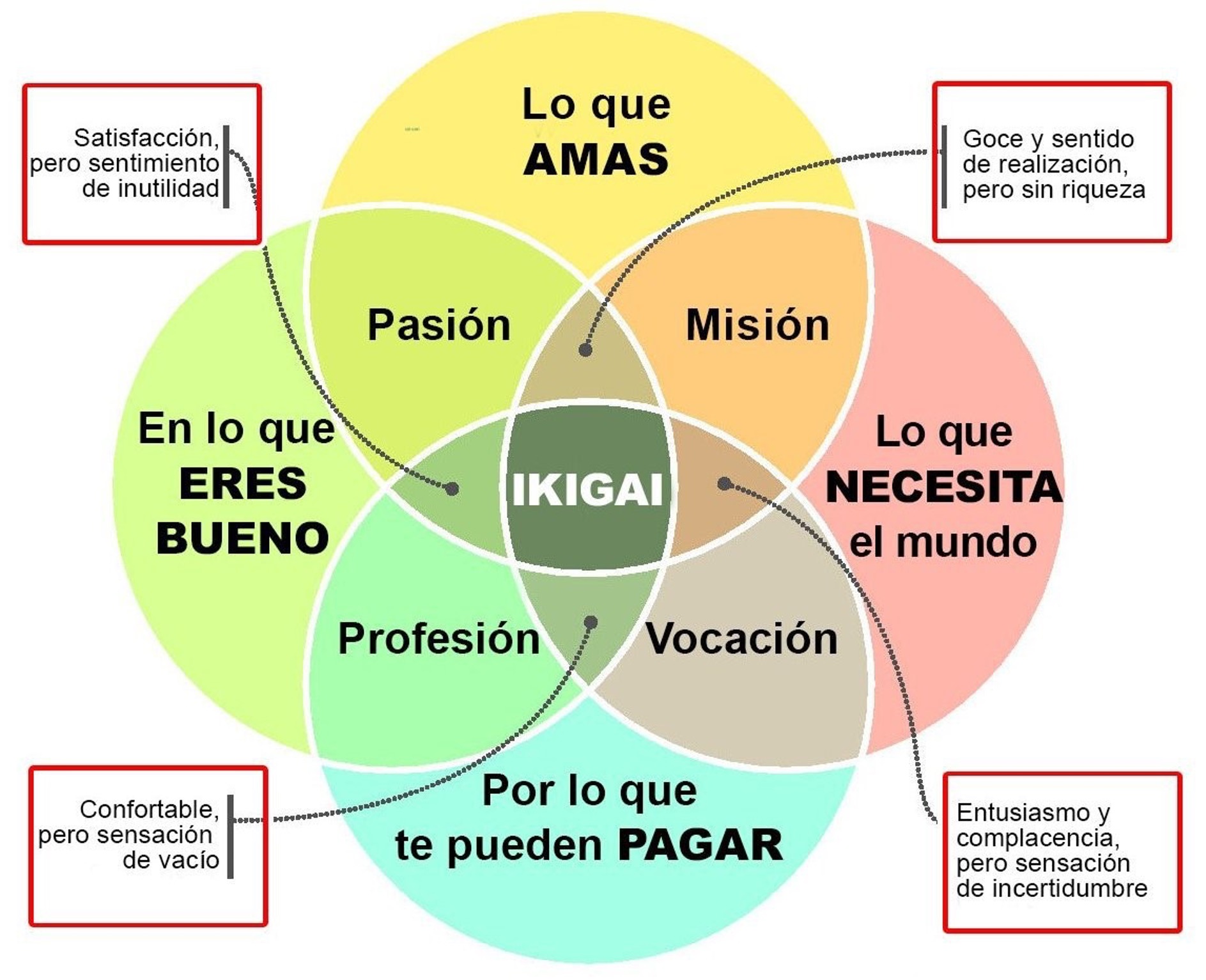 La búsqueda del ikigai me llevó al sector de impacto social