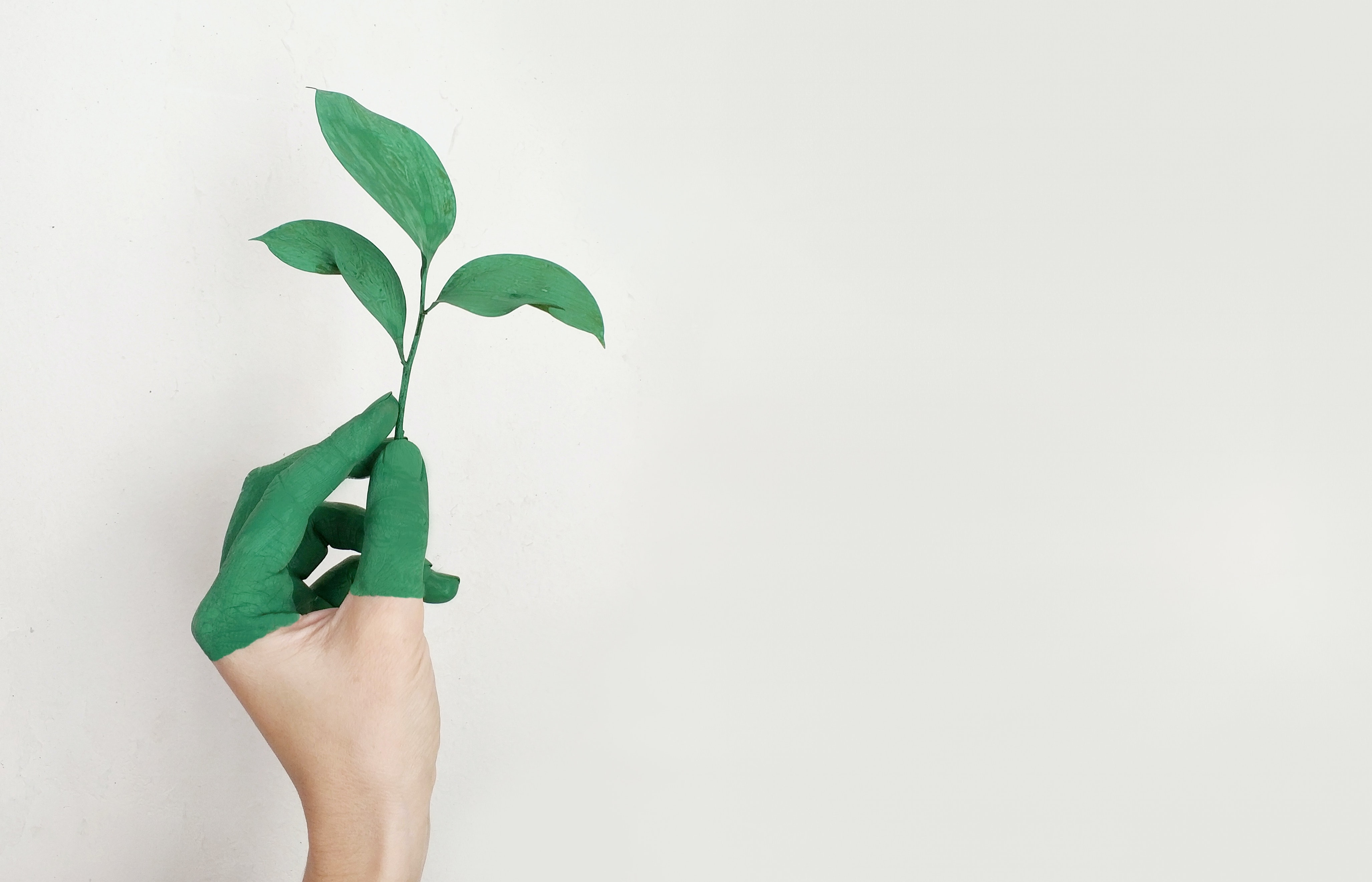Retos y perspectivas de la financiación verde y sostenible