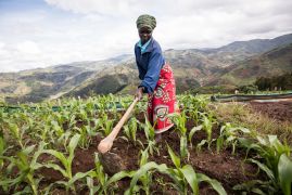 One Acre Fund